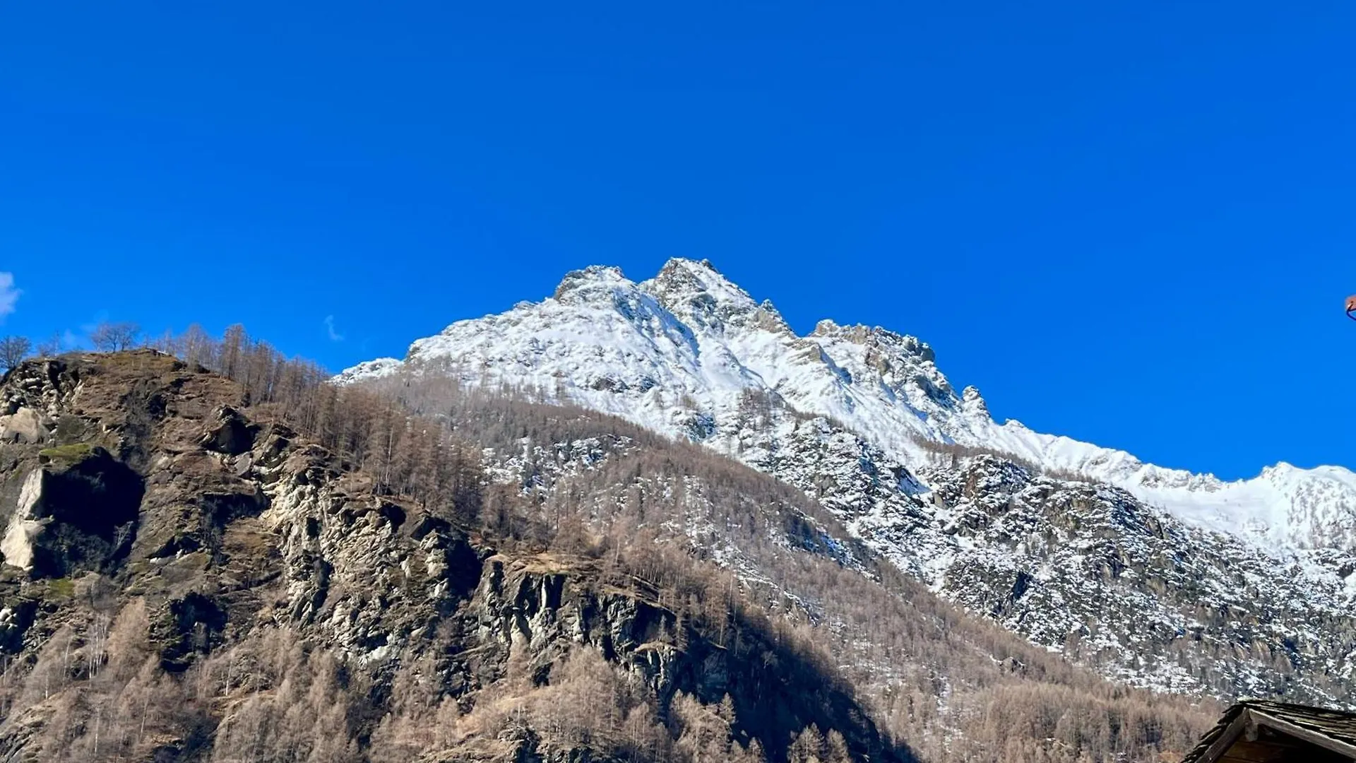 Il Nido Di Curlo Apartment Chiesa in Valmalenco Italy